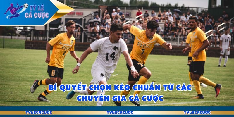 Bí quyết chọn kèo chuẩn từ các chuyên gia cá cược