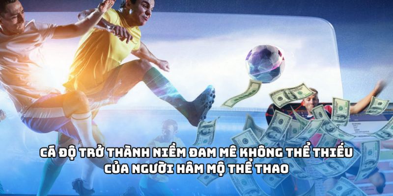 Cá độ trở thành niềm đam mê không thể thiếu của người hâm mộ thể thao