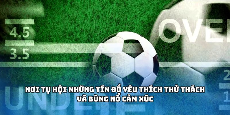 Nơi tụ hội những tín đồ yêu thích thử thách và bùng nổ cảm xúc