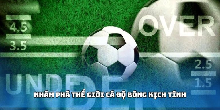 Khám phá thế giới cá độ bóng kịch tính