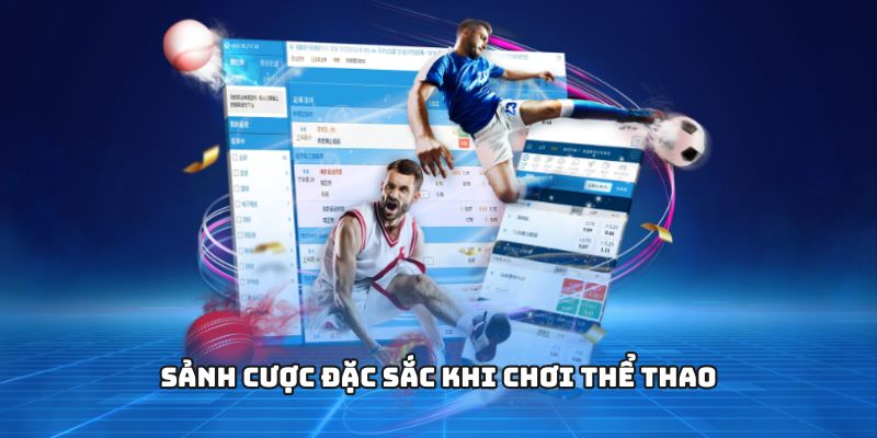 Sảnh cược đặc sắc khi chơi thể thao