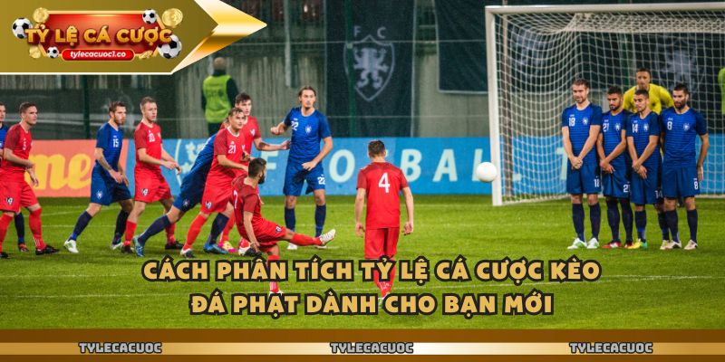 Cách phân tích tỷ lệ cá cược kèo đá phạt dành cho bạn mới