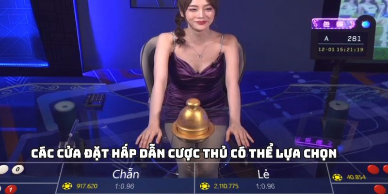 Các cửa đặt hấp dẫn cược thủ có thể lựa chọn