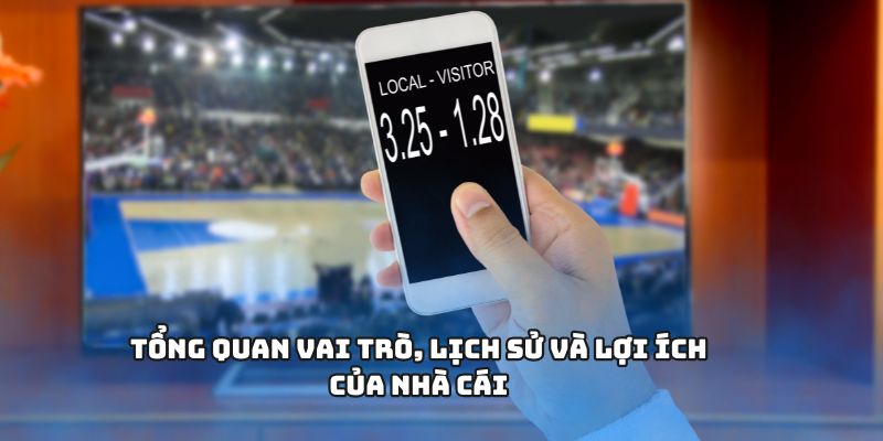Tổng quan vai trò, lịch sử và lợi ích của nhà cái