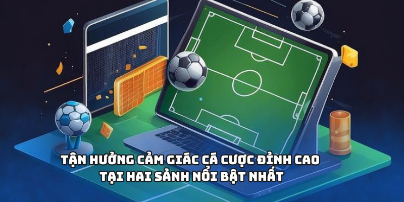 Tận hưởng cảm giác cá cược đỉnh cao tại hai sảnh nổi bật nhất