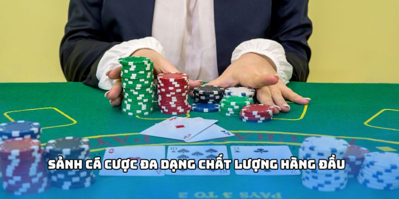Sảnh cá cược đa dạng chất lượng hàng đầu
