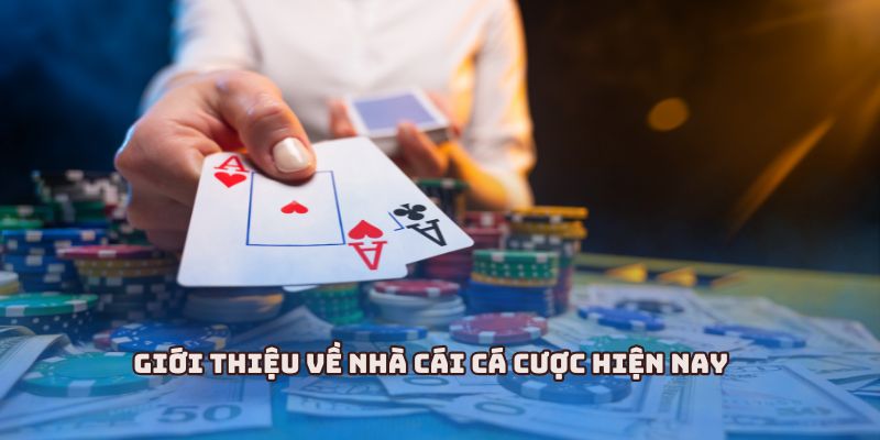 Giới thiệu về nhà cái cá cược hiện nay