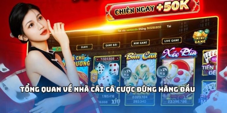 Tổng quan về nhà cái cá cược đứng hàng đầu