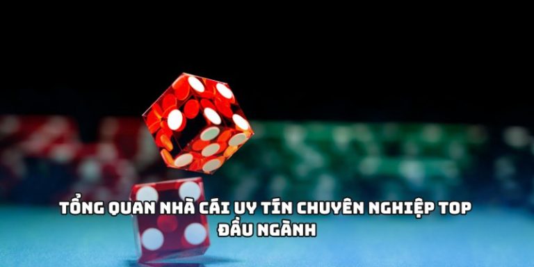 Tổng quan nhà cái uy tín chuyên nghiệp top đầu ngành