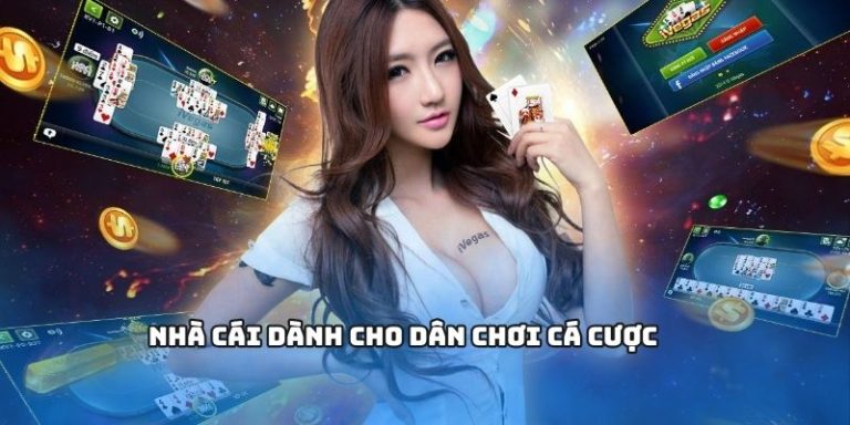 Nhà cái dành cho dân chơi cá cược