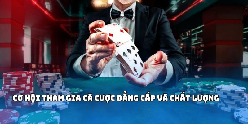 Cơ hội tham gia cá cược đẳng cấp và chất lượng