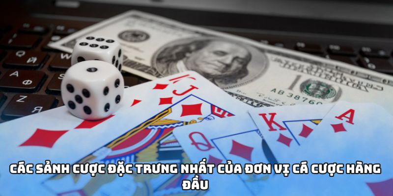 Các sảnh cược đặc trưng nhất của đơn vị cá cược hàng đầu