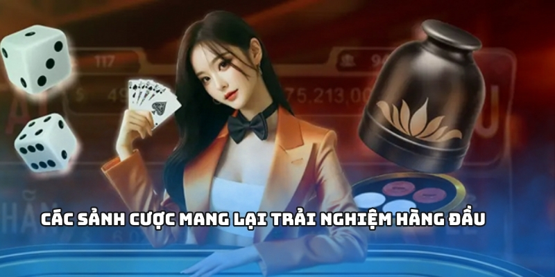 Các sảnh cược mang lại trải nghiệm hàng đầu