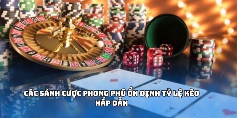Các sảnh cược phong phú ổn định tỷ lệ kèo hấp dẫn