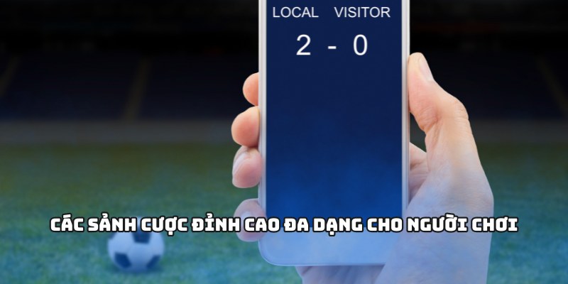 Các sảnh cược đỉnh cao đa dạng cho người chơi