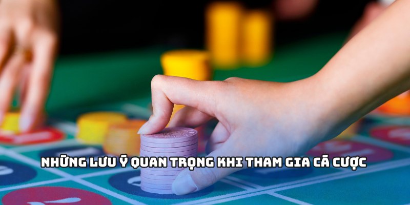 Những lưu ý quan trọng khi tham gia cá cược