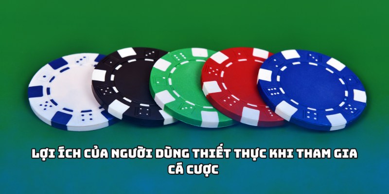 Lợi ích của người dùng thiết thực khi tham gia cá cược