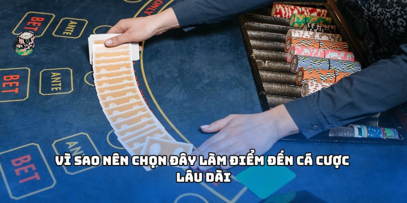 Vì sao nên chọn đây làm điểm đến cá cược lâu dài
