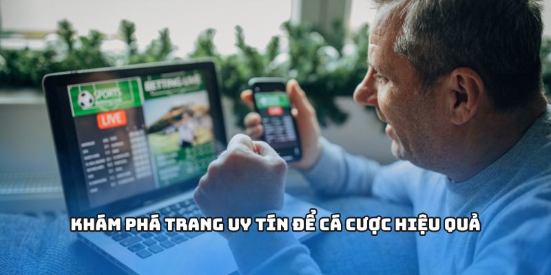 Khám phá trang uy tín để cá cược hiệu quả
