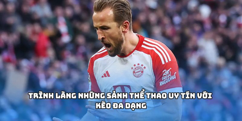 Trình làng những sảnh thể thao uy tín với kèo đa dạng