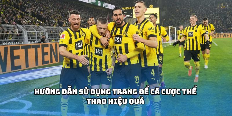 Hướng dẫn sử dụng trang để cá cược thể thao hiệu quả