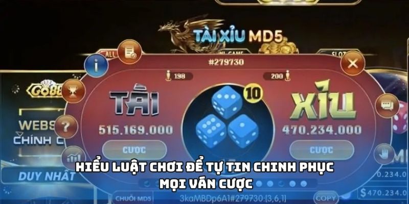 Hiểu luật chơi để tự tin chinh phục mọi ván cược