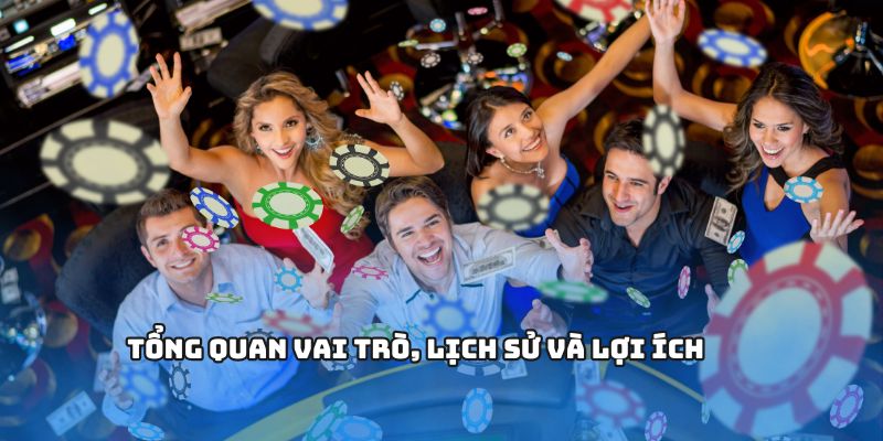 Tổng quan vai trò, lịch sử và lợi ích